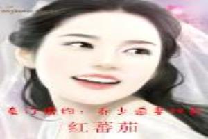 豪門婚約：喬少追妻99天